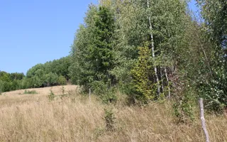 Terenuri Carpinis I parcelabil I Curent pe proprietati - Poză 73