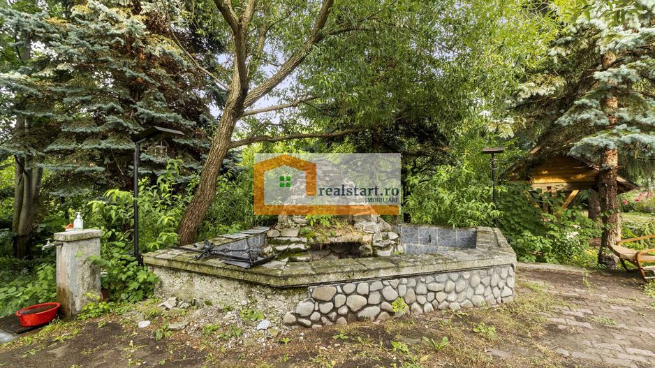 Vedere directa la Padure, 5000mp teren, Vila D+P+1E+M, semineu, foisor - Poză 42