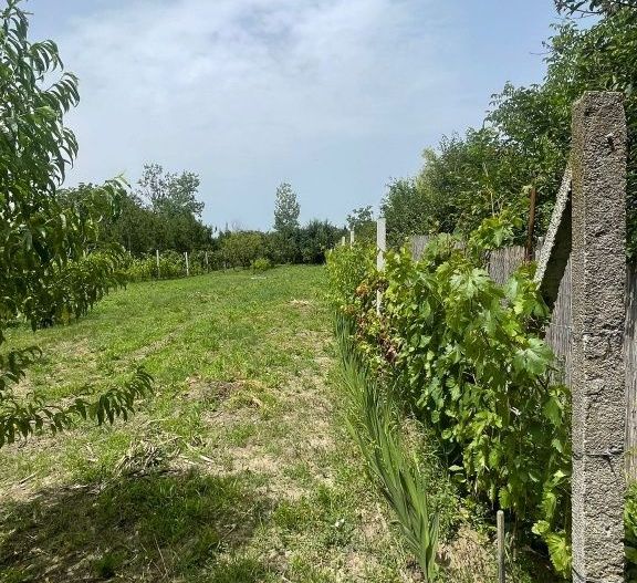 Vând teren intravilan, Str Dealului 64 - 936 mp,front stradal 13.4 m - Poză 4