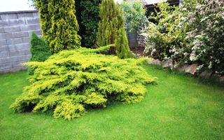 Casa individuala, ideala pentru o familie - Poză 3