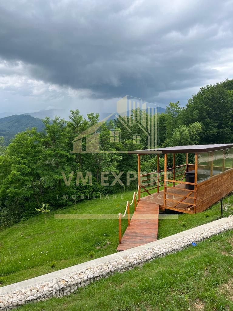 CASA 3 CAMERE, TEREN 3100 MP, ALBESTI DE MUSCEL, ARGES - Poză 14