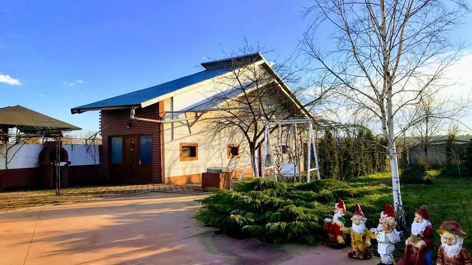 Vila Vulpesti Buzoesti - Poză 37