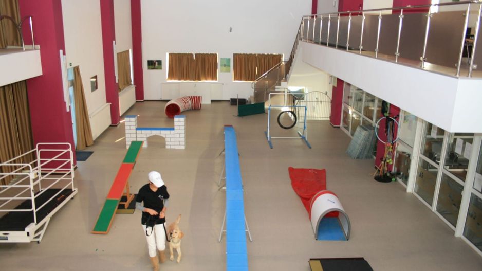 Oferta zilei! Spatiu comercial versatil Voluntari - Poză 7