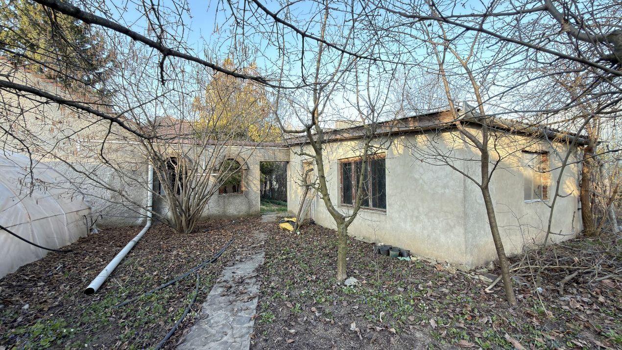 Proprietate cu 2 case | Teren 546 mp | Str. Albinelor Nr.18 - Carei - Poză 24