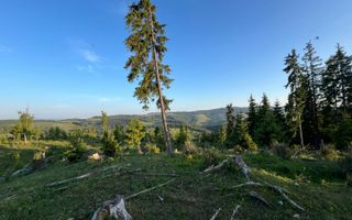 50 hectare teren | Moldova-Sulita | Potential turistic si agricol - Poză 9