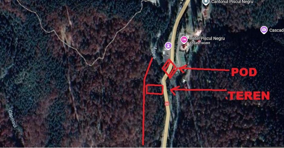 TEREN EXTRAVILAN PADURE PISCUL NEGRU ARGES - Poză 10