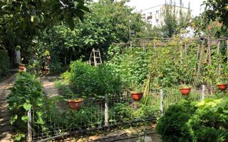 BRASADAS vinde casa cu 7 camere si teren 1100mp in zona Burdea. - Poză 21