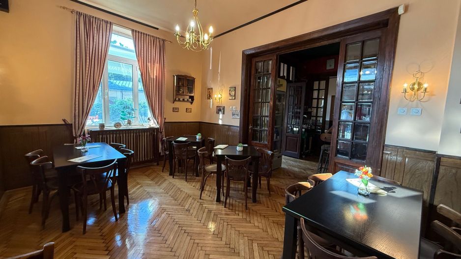 VILA LOCATIE UNICA GRADINA ICOANEI - Poză 1