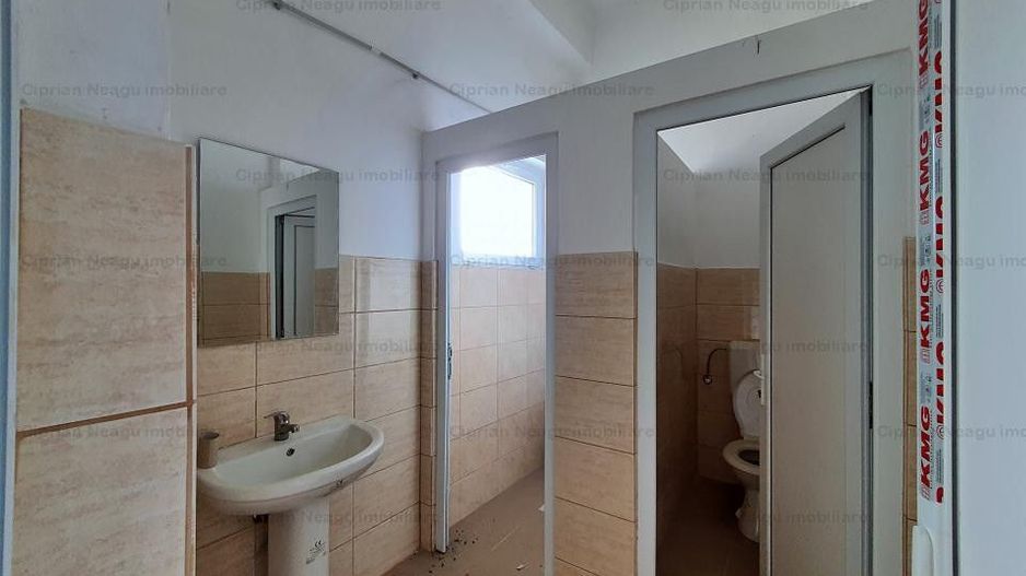 Hala De Inchiriat, zona Depozitelor Pitesti - Poză 10