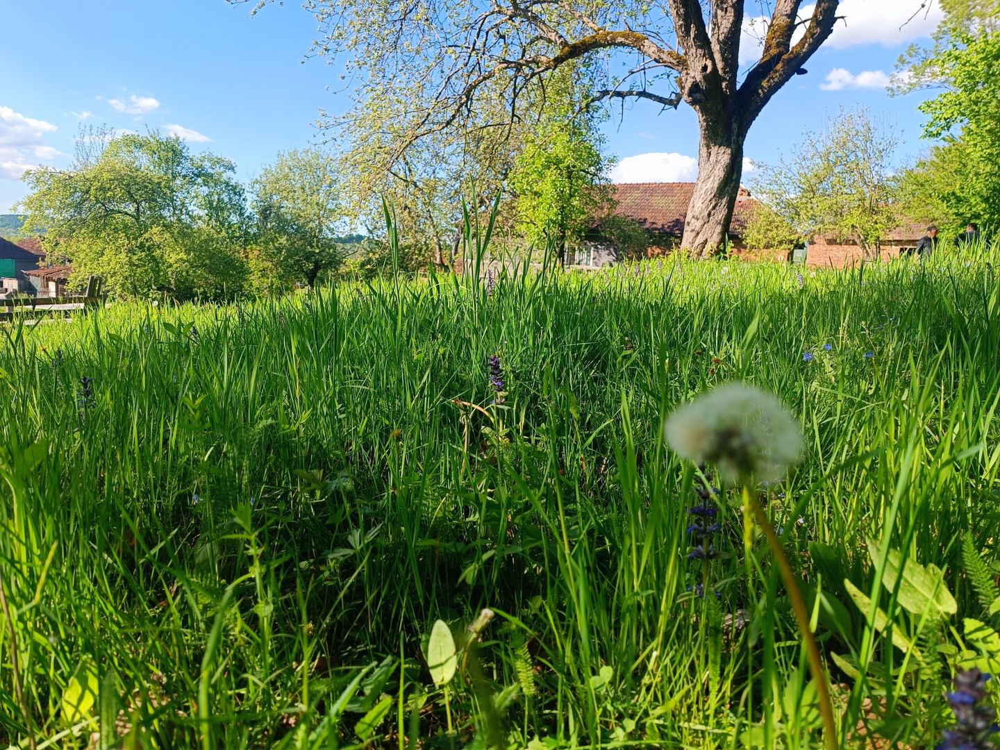 Descoperă căsuța ta de vis la poalele Munților Apuseni - Poză 17