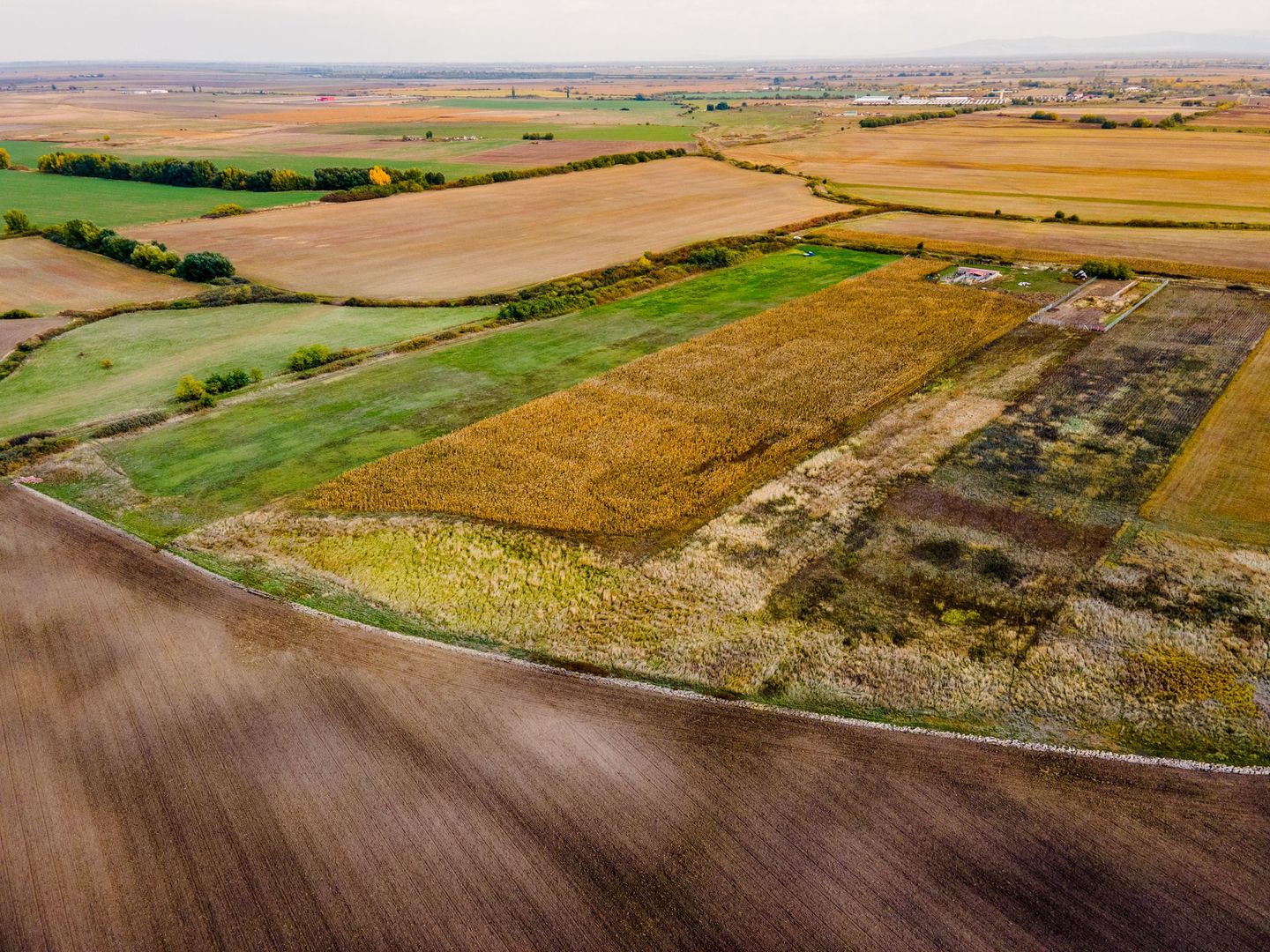 Teren arabil pe Strada Câmpurilor - Poză 10