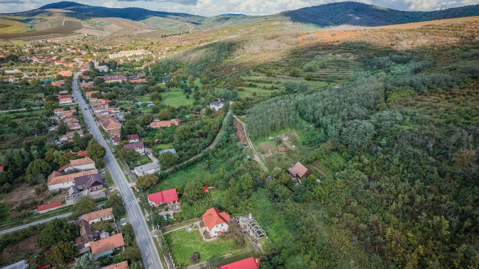 Teren de 1150 mp în Miniș - Poză 6