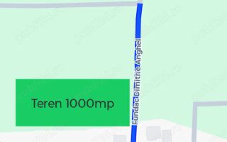 Teren intravilan 1000mp Bucium Iași - Poză 1