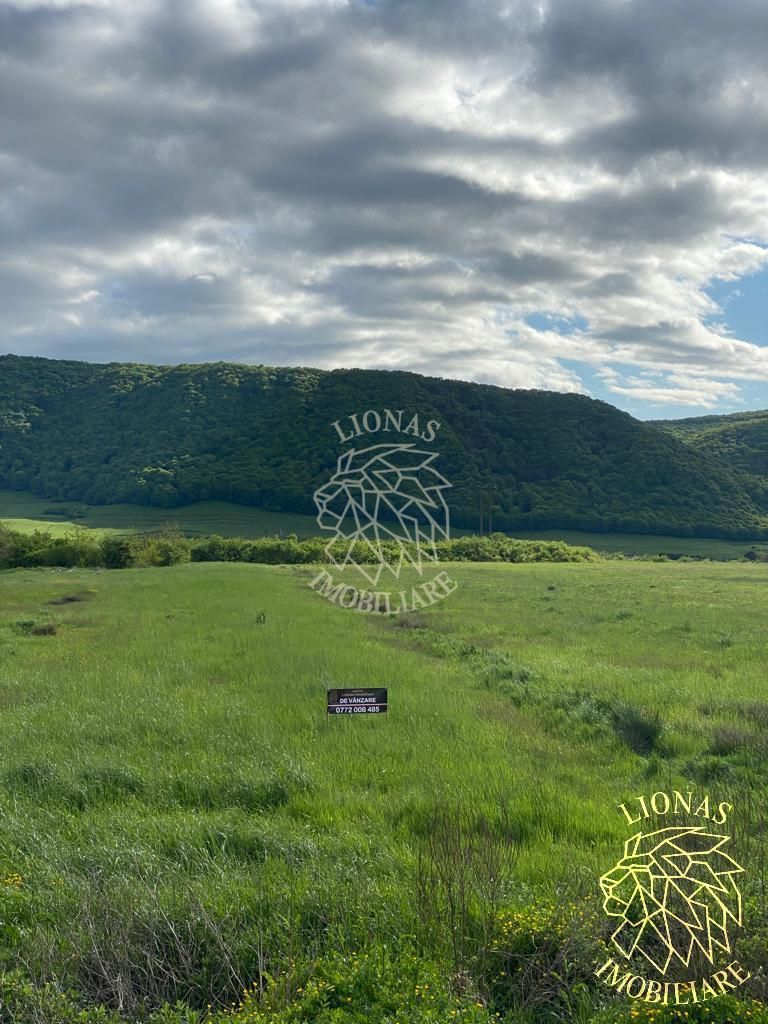 Teren intravilan-Crainimat -3000mp-ideal investitie construire casa - Poză 4