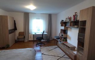 Apartament o camera la casa, 40mp, zona UMF