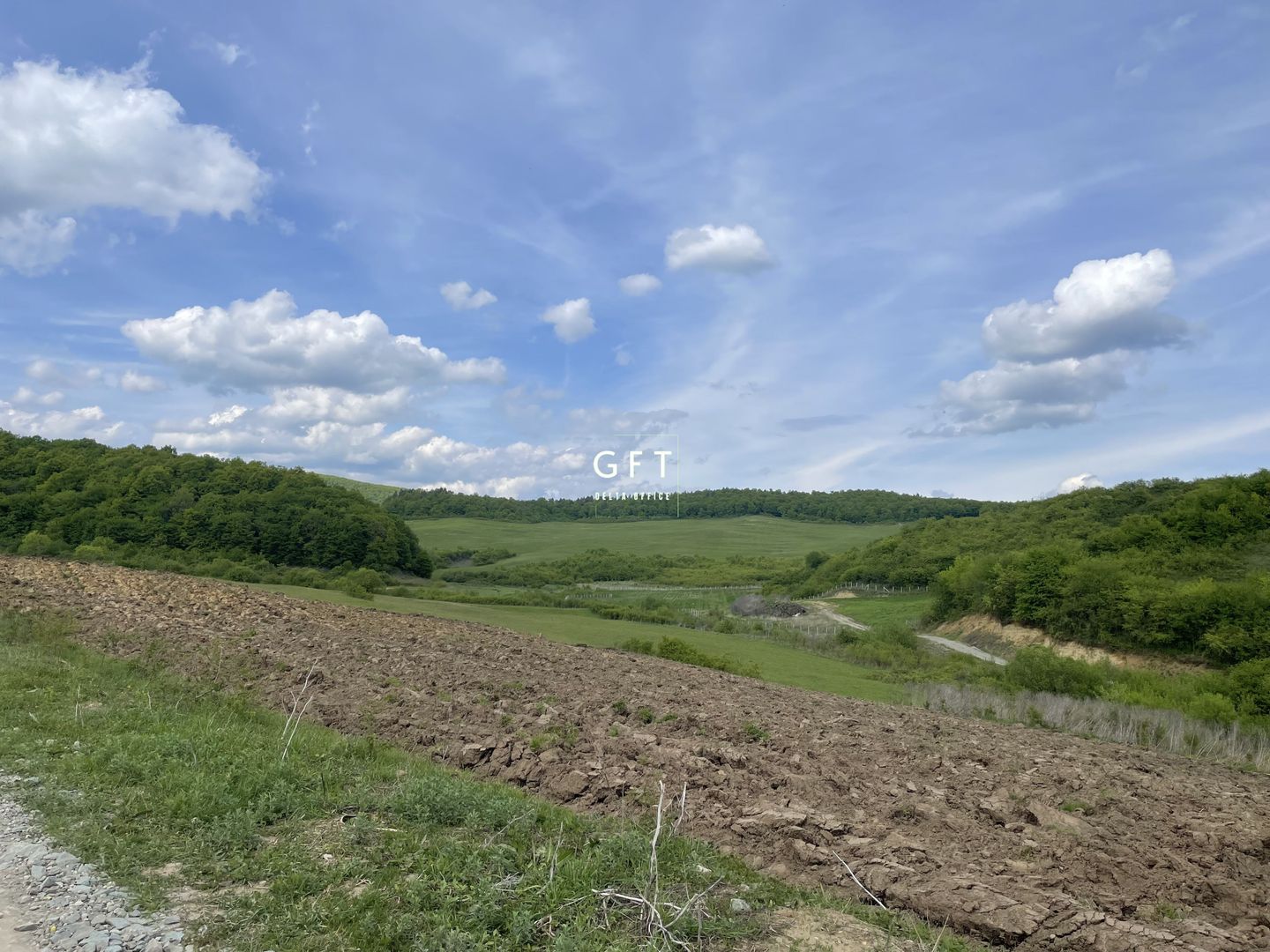 Teren extravilan 10000 mp, Jelna. - Poză 9