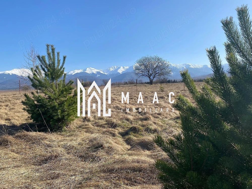 Teren Intravilan | 1000 MP | Valea Avrigului - Poză 1