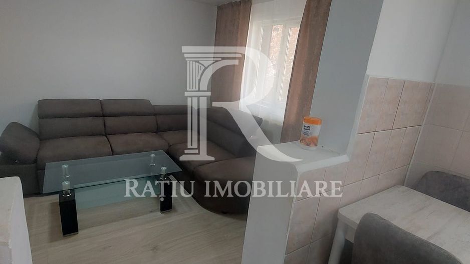 Hala Constructie Caramida | Ineu | Bihor - Poză 9