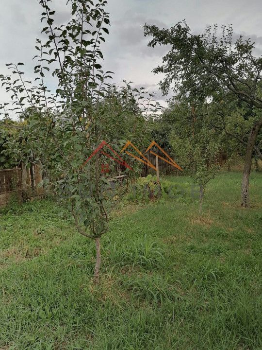 Casa rustica 3 camere, 4000 mp teren, cabana din lemn, pomi fructiferi - Poză 6