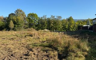 TEREN INTRAVILAN, CAMPULUNG,  2691 MP - Poză 26