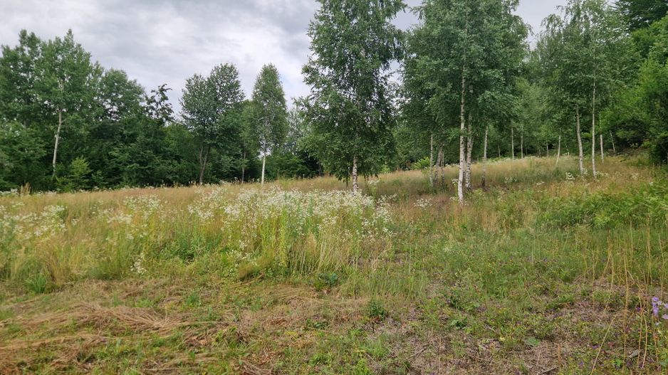 Casa si teren potential turistic Slatioara-Suceava - Poză 10