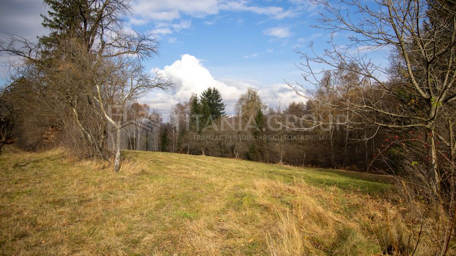 Teren intravilan, cu PUZ, Bran Tohanita,  SE ACCEPTĂ ȘI SCHIMB - Poză 17