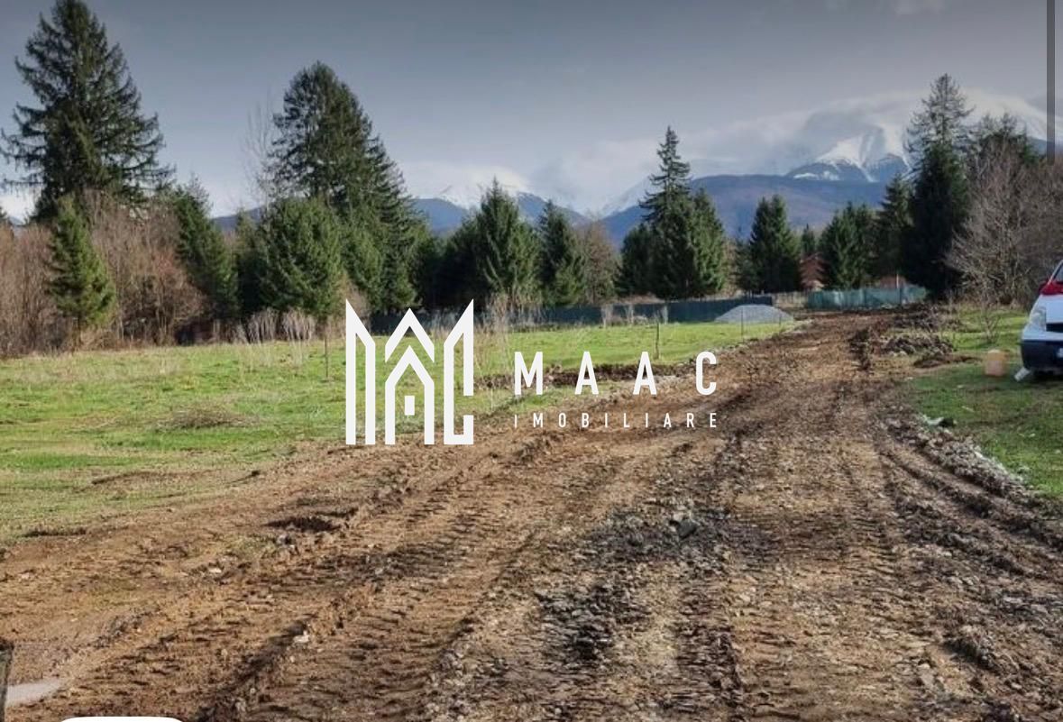 TEREN INTRAVILAN 4007 MP I VALEA AVRIGULUI - Poză 7