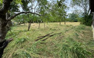 Casă de vânzare în Moisei, zonă turistică- 23 ari teren! - Poză 6