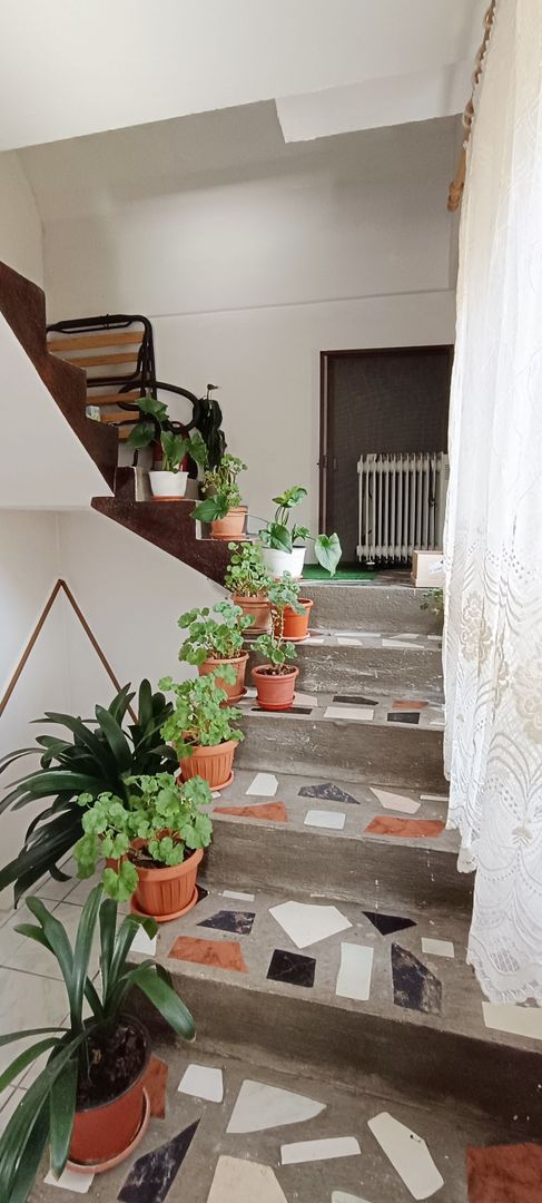 Casa si teren de 12000mp-Simon - Poză 17