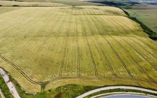Teren la sosea Ortisoara - Autostrada A1 - Poză 29