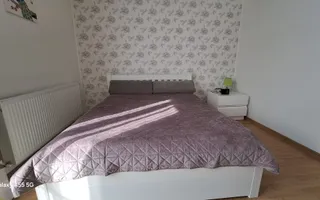Duplex de vanzare Roata Faget - Poză 11