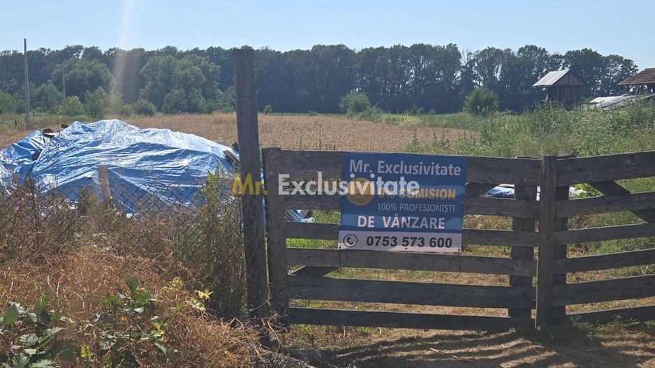 Teren 10.294 mp de vânzare Târgu Jiu | Intravilan + Extravilan | Utilități - Poză 10