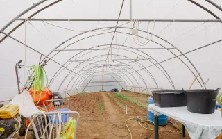 Casă cu 3 dormitoare și 2600 mp teren - Poză 22