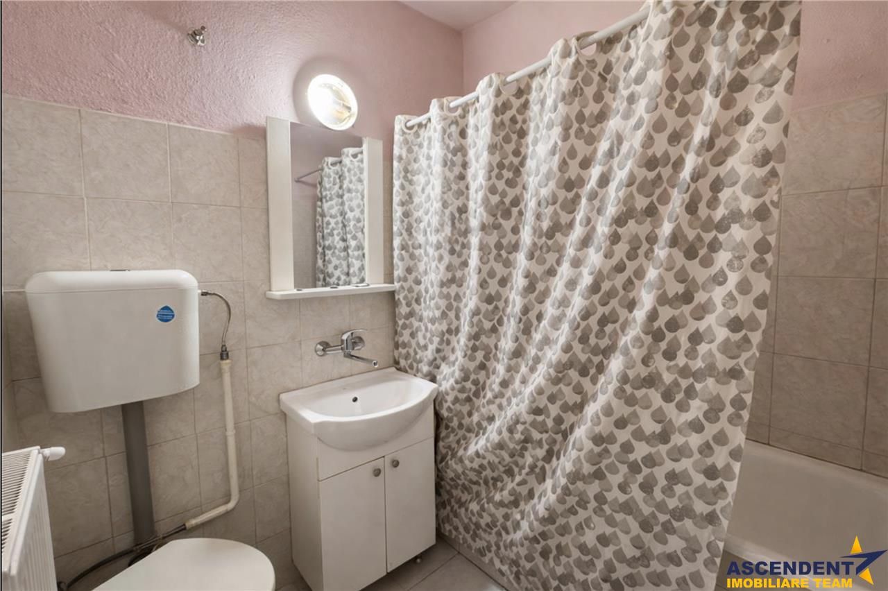 Nivel in casa cu 2 apartamente,145 mp utili+ teren 338mp, Gheorghe Doja - Poză 5