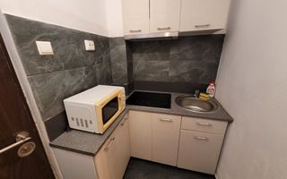 Garsoniera de inchiriat, Vasile Aaron - Poză 5