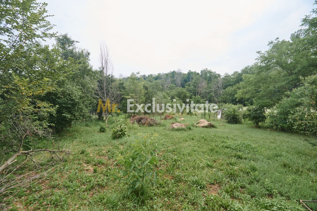 Teren 2240 mp intravilan + casa batraneasca Hintesti-Basangesti - Poză 7