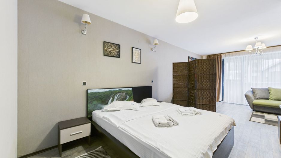 Apartament Premium- Silver Mountain, Poiana Brasov - Poză 8