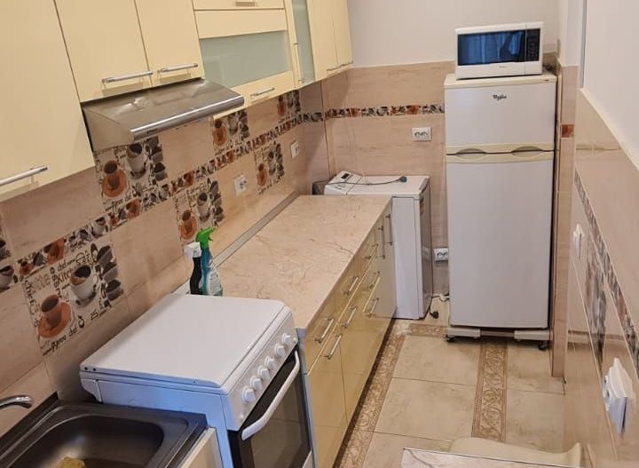Apartament 1 camera Dec 45 mp Tatarasi 400 euro - Poză 2
