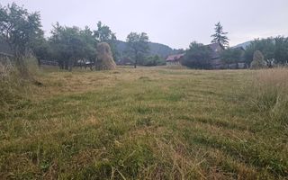 Casă 1 cameră de vânzare | Rădăcinești, Vâlcea | 5500 mp teren - Poză 7