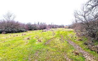 Terenuri extravilane de vânzare – Vizma & Crivobara, comuna Secaș, jud. Timiș - Poză 1