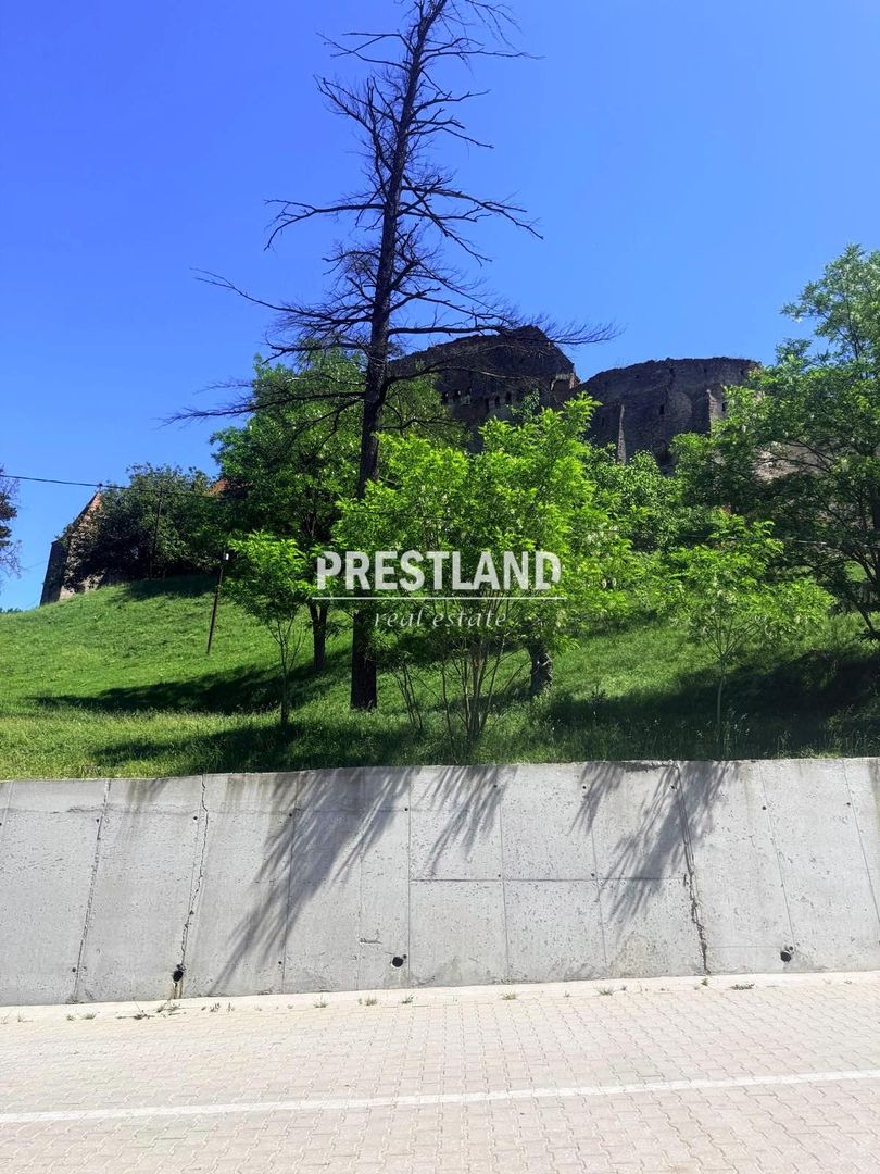 Casa modesta ,situată in Slimnic - Poză 9