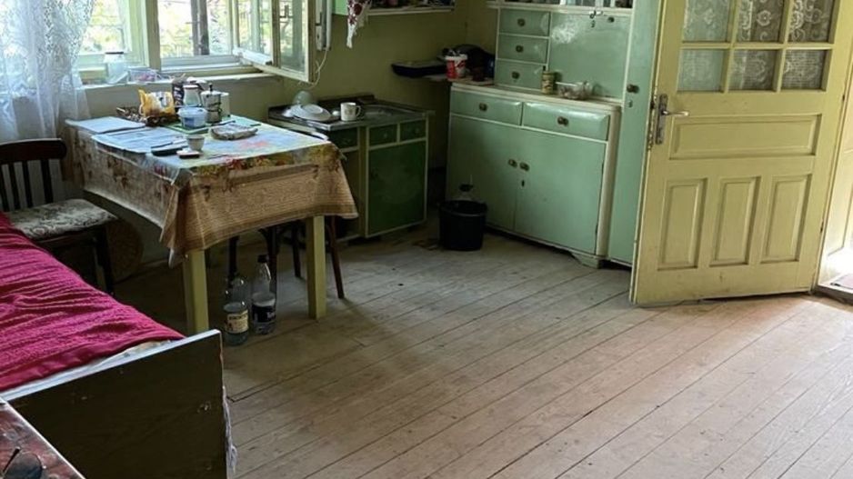 Vand casa la tara - Poză 3