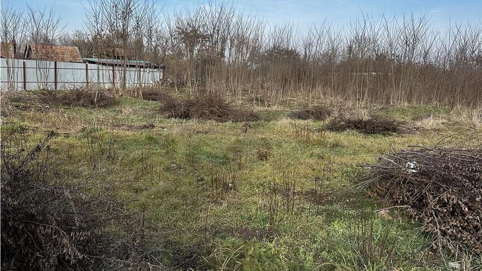 Parcele Intravilan 5km de Salonta Utilitati si asfalt - Poză 1