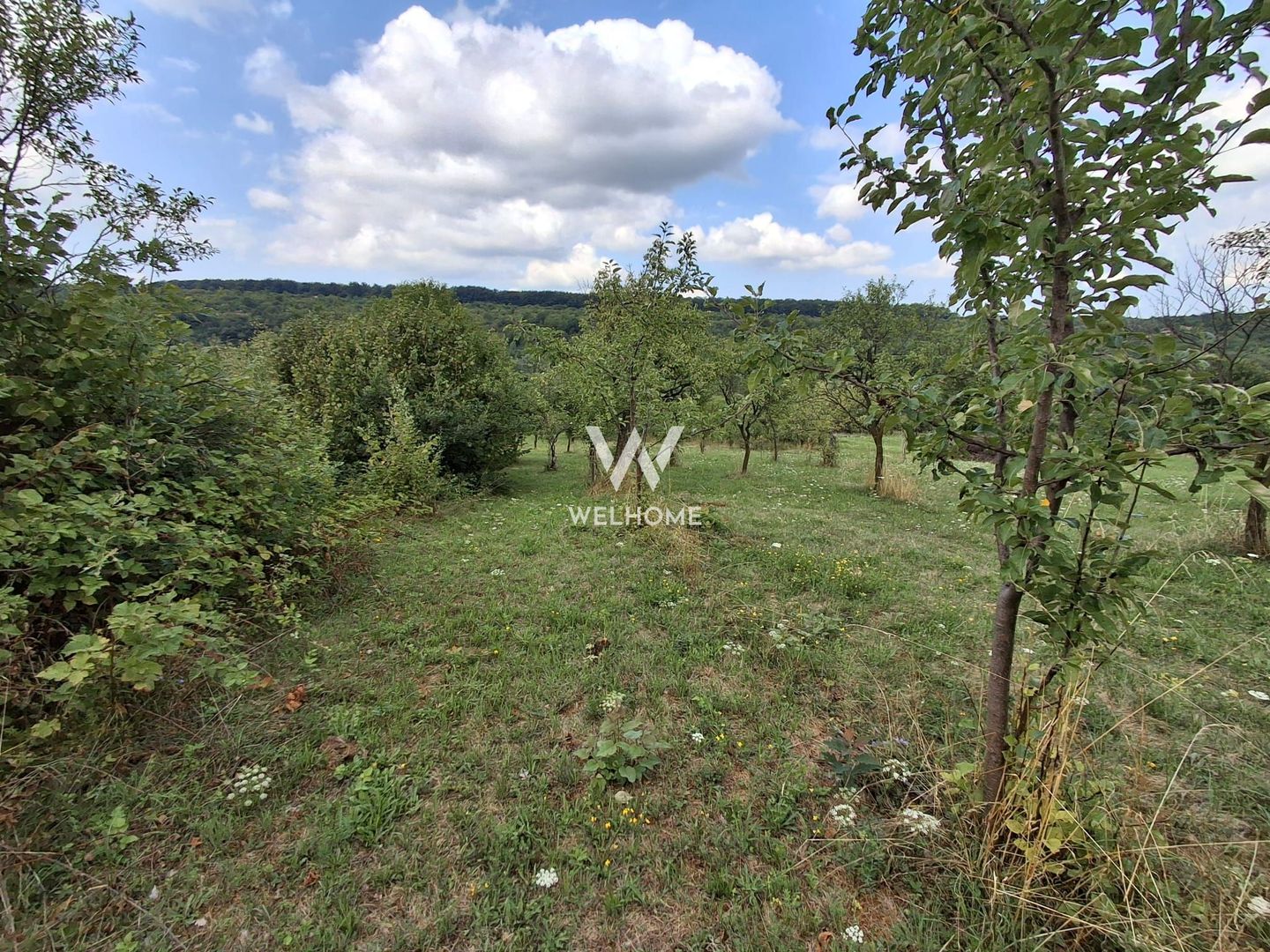 De vânzare teren extravilan în Sibiel, jud. Sibiu – 3223 mp - Poză 8