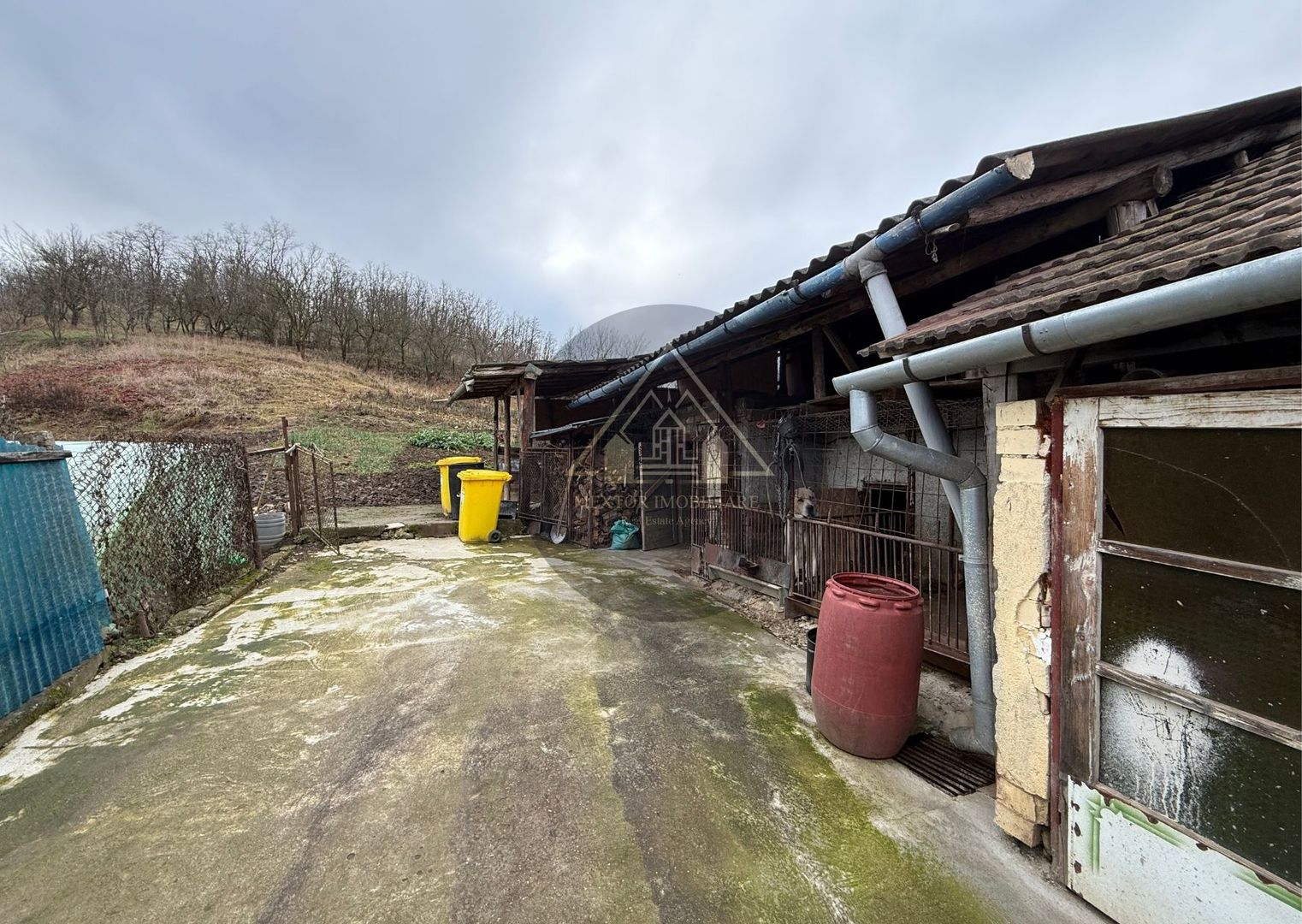 Casa 3 camere, Medias - Poză 17