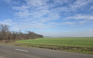 FUNDENi-Oportunitate Majoră de Investiție: 92 286mp - PRET IMBATABIL! - Poză 3