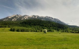 O noua poveste in fiecare zi,dezvaluita de pesiajul mirifc catre Piatra Craiului - Poză 7