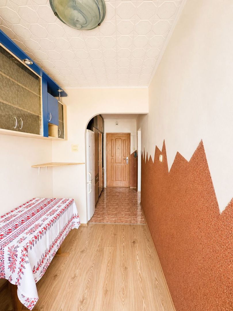 Apartament cu o cameră - Zona Nufarul - Poză 5