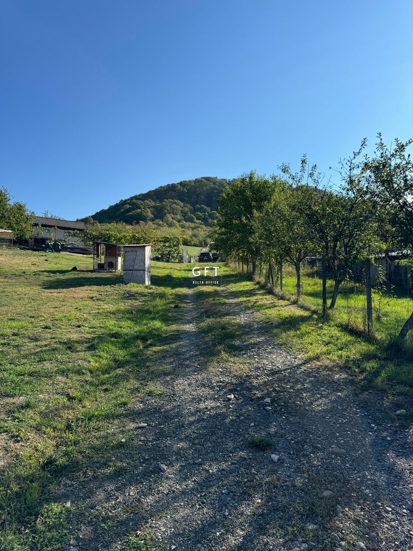 Teren de vanzare, Valea Ghinzii, parcele de 5-6 ari - Poză 10