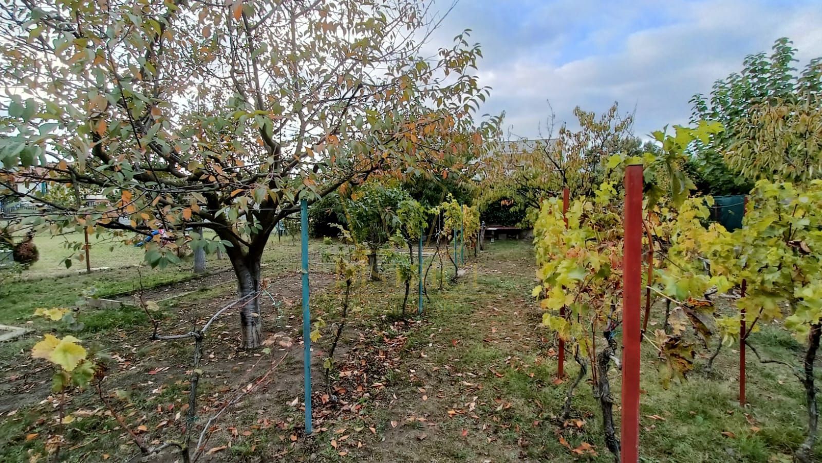 Casă 4 camere de închiriat | Curte mare | Dumbrăvița - Poză 33